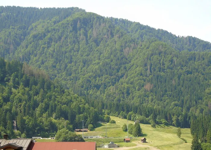 Nicole Apartman Ravascletto